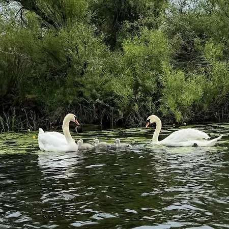Waterside Sanctuary Feriehus *