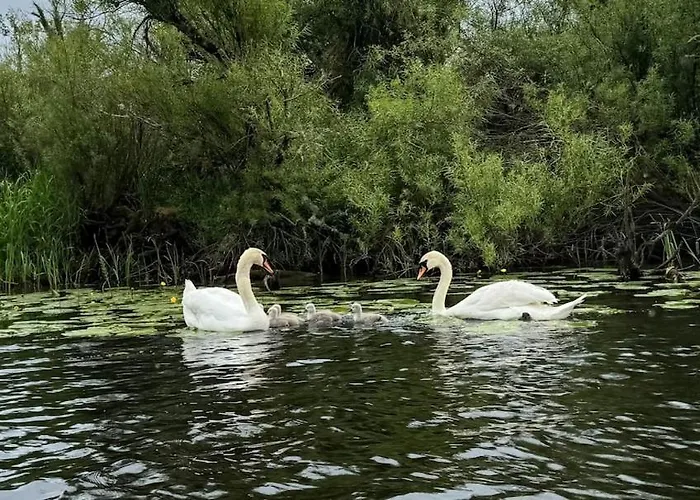 Waterside Sanctuary Semesterbostad *